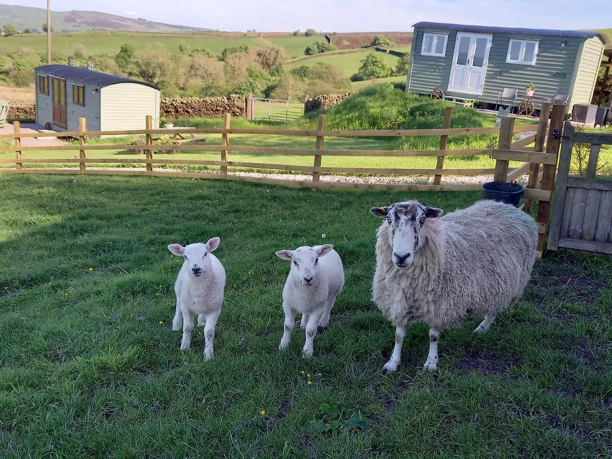 The Journeyman Luxury Shepherds Hut Barnoldswick United Kingdom